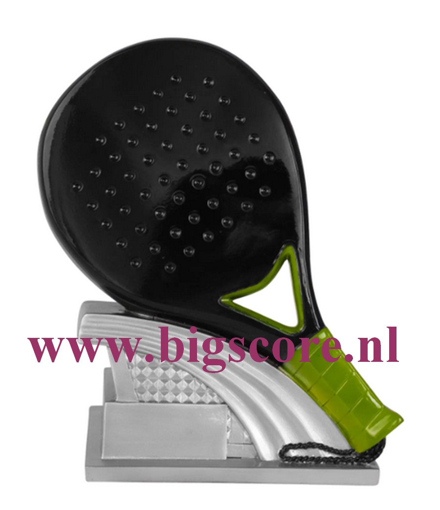 Padeltennis Resinbeeld R26081